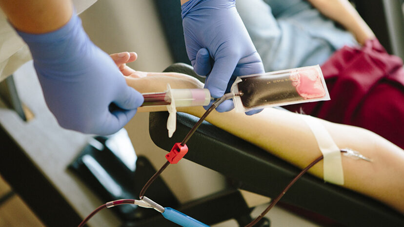 young woman get prepared by a nurse for blood donation