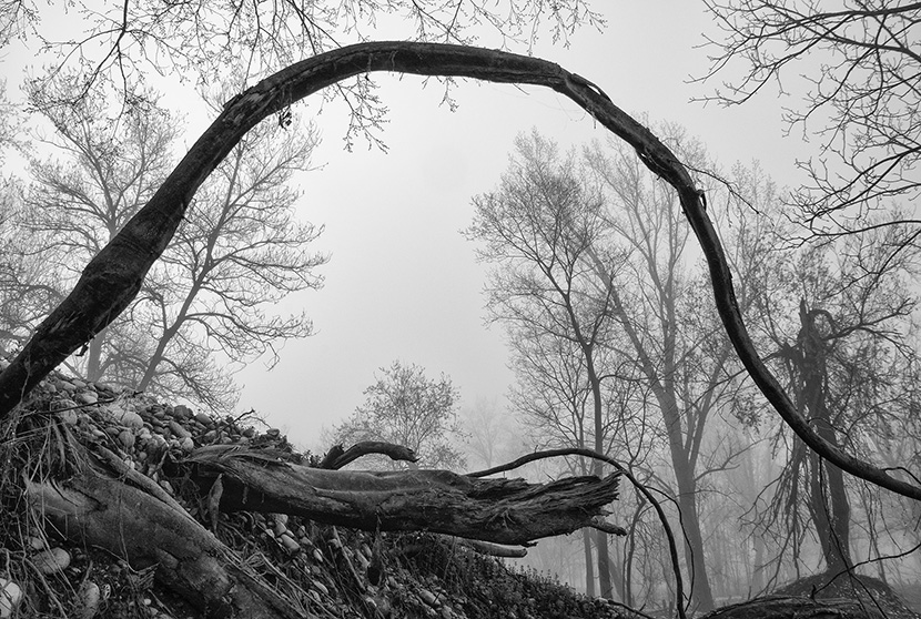 Lungo il Brenta in una giornata di fine inverno